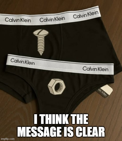 Screw | I THINK THE MESSAGE IS CLEAR | image tagged in sex jokes | made w/ Imgflip meme maker