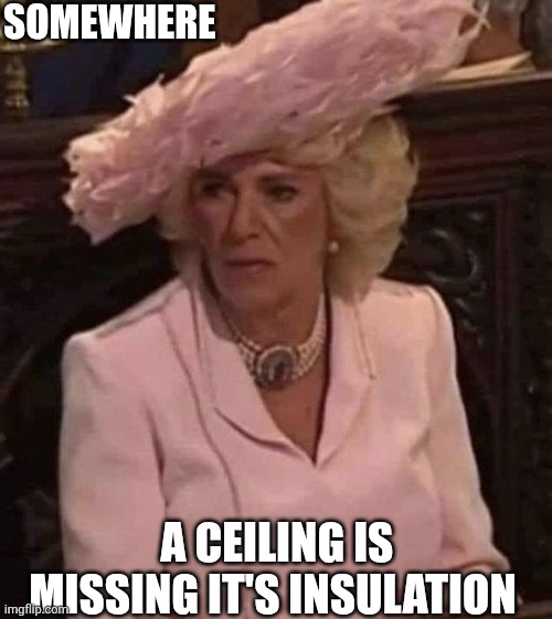 Somewhere A Ceiling Is Missing It's Insulation | SOMEWHERE; A CEILING IS MISSING IT'S INSULATION | image tagged in chrisjoines1 | made w/ Imgflip meme maker