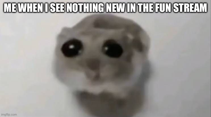 Not fun anymore | ME WHEN I SEE NOTHING NEW IN THE FUN STREAM | image tagged in sad hamster,fun stream | made w/ Imgflip meme maker