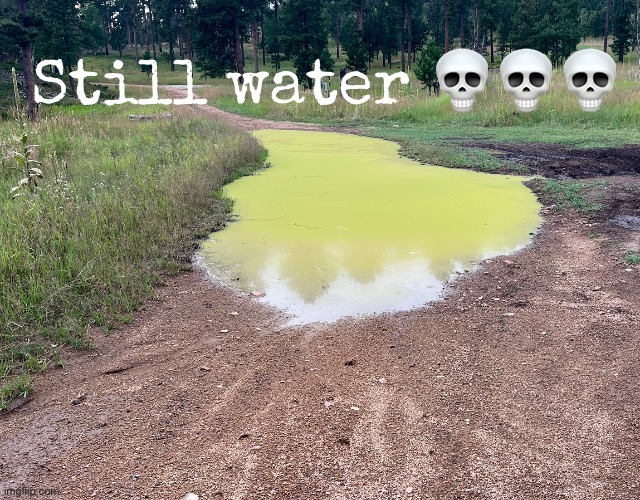 Still water 💀💀💀 | made w/ Imgflip meme maker