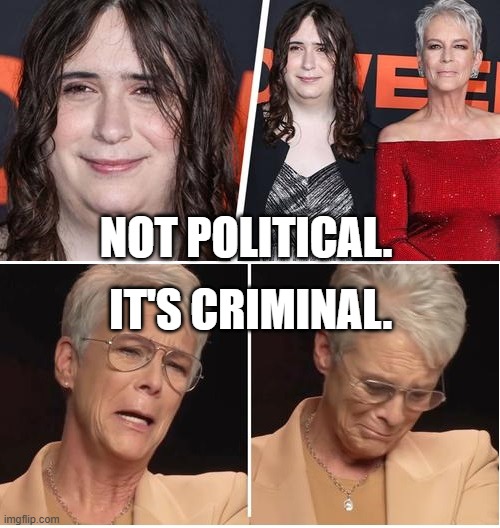 jamie lee curtis | IT'S CRIMINAL. NOT POLITICAL. | image tagged in jamie lee curtis | made w/ Imgflip meme maker