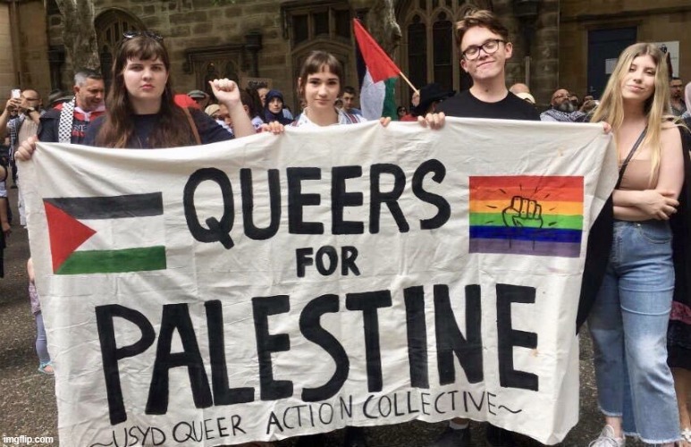Queers For Palestine | image tagged in queers for palestine | made w/ Imgflip meme maker