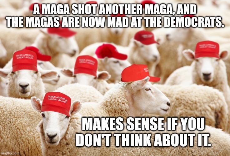 The in-fighting is doing more than the democrats' protests | A MAGA SHOT ANOTHER MAGA, AND THE MAGAS ARE NOW MAD AT THE DEMOCRATS. MAKES SENSE IF YOU DON'T THINK ABOUT IT. | image tagged in trump maga sheep,charlie kirk,maga,gun control,gun violence | made w/ Imgflip meme maker