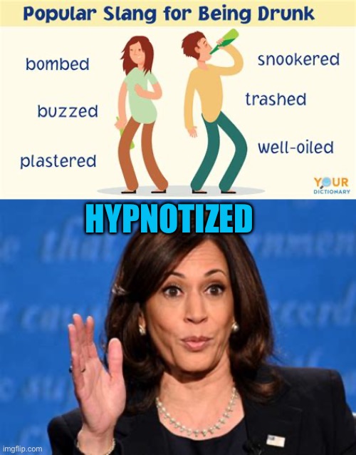 Slang   “Hypnotized” | HYPNOTIZED | image tagged in skreeching,kamala harris,democrat,hypnotize,democratic socialism,drunk | made w/ Imgflip meme maker