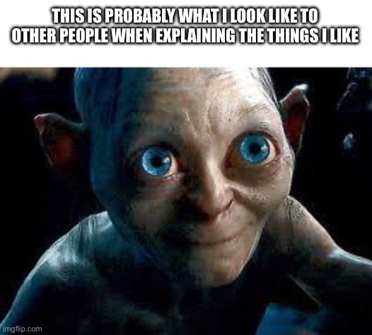 Gollum | THIS IS PROBABLY WHAT I LOOK LIKE TO OTHER PEOPLE WHEN EXPLAINING THE THINGS I LIKE | image tagged in gollum,funny | made w/ Imgflip meme maker