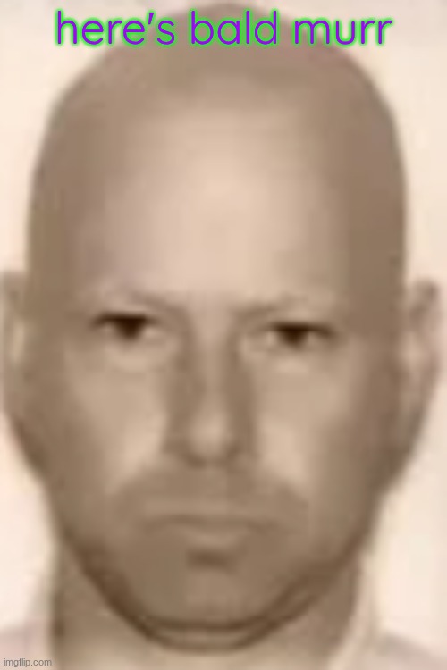 murr drivers license | here's bald murr | image tagged in murr drivers license | made w/ Imgflip meme maker