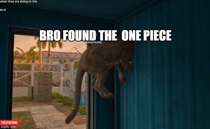 the wall piece | BRO FOUND THE  ONE PIECE | image tagged in funny | made w/ Imgflip meme maker