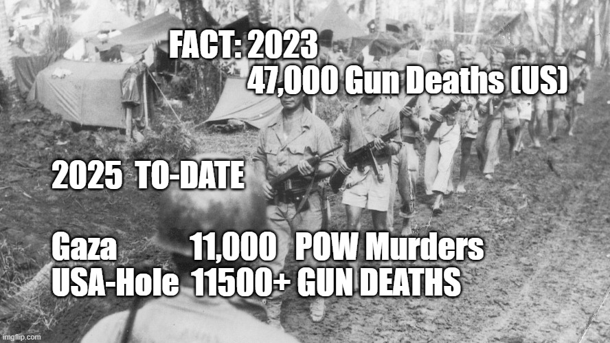 Total Down BUT Still World Champs! | FACT: 2023                               47,000 Gun Deaths (US); 2025  TO-DATE 
 
Gaza            11,000   POW Murders

USA-Hole  11500+ GUN DEATHS | image tagged in gun deaths in usa | made w/ Imgflip meme maker