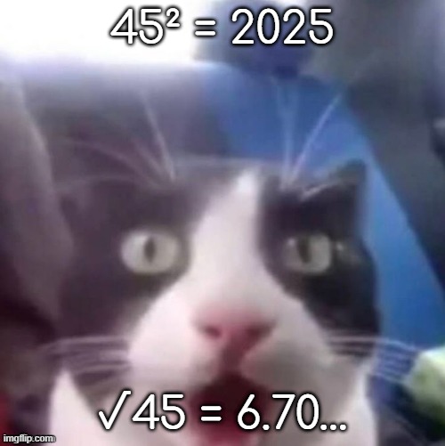 45 might be onto 6 7 (but hey thats just a theory, a...) | 45² = 2025; √45 = 6.70... | image tagged in cat shocked | made w/ Imgflip meme maker
