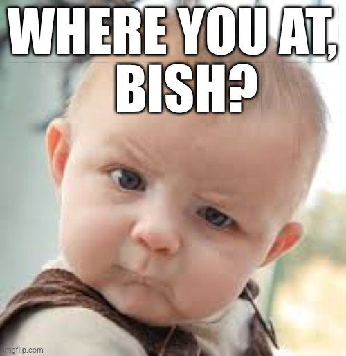 Where you at? | WHERE YOU AT, BISH? | image tagged in baby eyebrow,where are you,where you at,where are you bish,bish | made w/ Imgflip meme maker