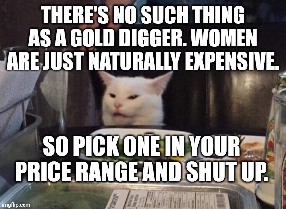 Smudge that darn cat | THERE'S NO SUCH THING AS A GOLD DIGGER. WOMEN ARE JUST NATURALLY EXPENSIVE. SO PICK ONE IN YOUR PRICE RANGE AND SHUT UP. | image tagged in smudge that darn cat | made w/ Imgflip meme maker