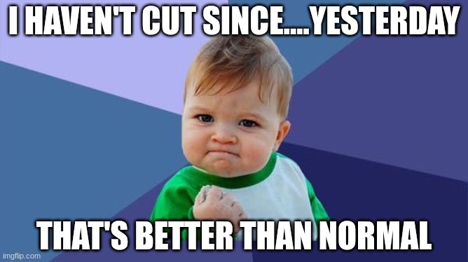 YES! baby | I HAVEN'T CUT SINCE....YESTERDAY; THAT'S BETTER THAN NORMAL | image tagged in yes baby | made w/ Imgflip meme maker
