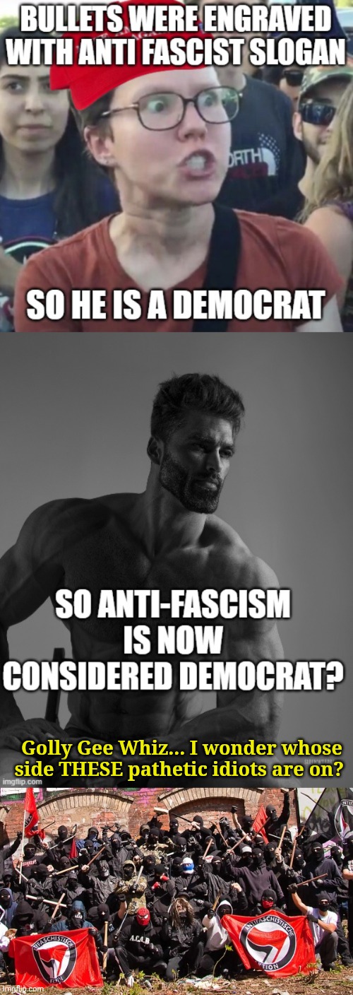 You can tuna piano... But you can't fix stupid. | Golly Gee Whiz... I wonder whose side THESE pathetic idiots are on? | image tagged in antifa | made w/ Imgflip meme maker