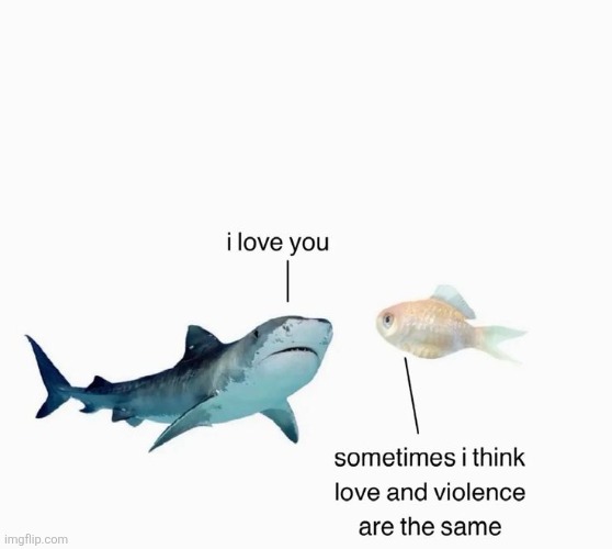 SHARKYYYY | made w/ Imgflip meme maker