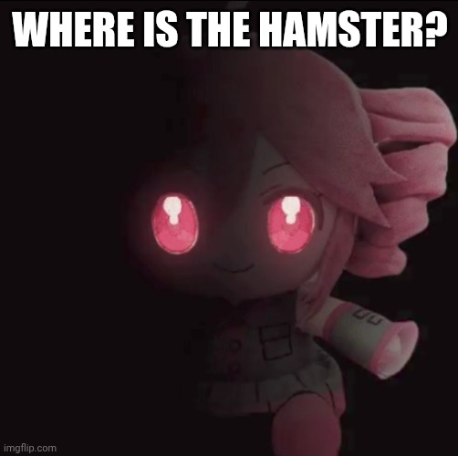 Teto | WHERE IS THE HAMSTER? | image tagged in teto | made w/ Imgflip meme maker