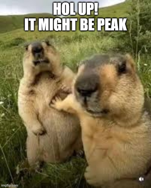 hol' up it might be peak | HOL UP!
IT MIGHT BE PEAK | image tagged in feels | made w/ Imgflip meme maker