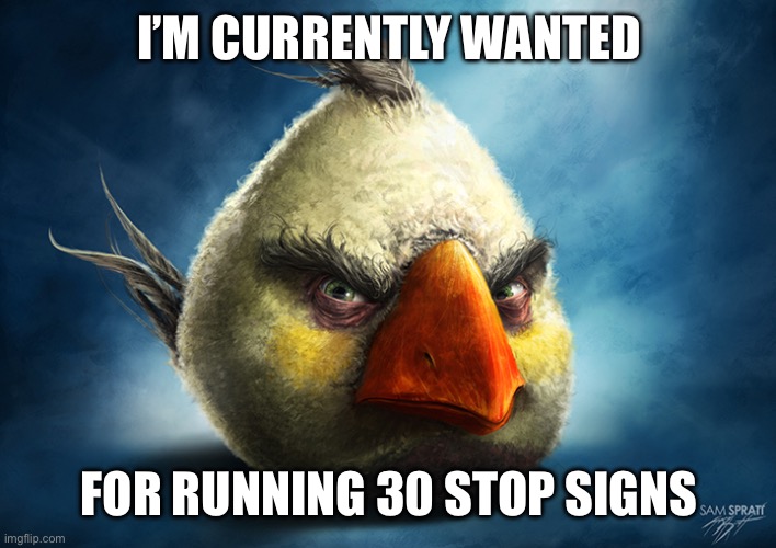 Realistic Angry Bird (Mathilda) | I’M CURRENTLY WANTED; FOR RUNNING 30 STOP SIGNS | image tagged in realistic angry bird mathilda | made w/ Imgflip meme maker