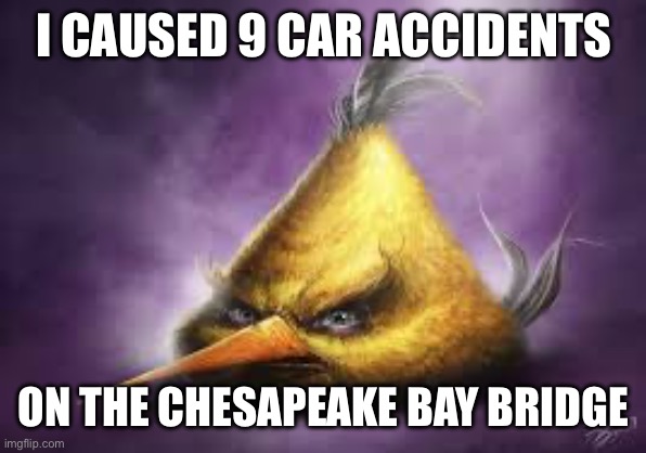 Realistic angry bird | I CAUSED 9 CAR ACCIDENTS; ON THE CHESAPEAKE BAY BRIDGE | image tagged in realistic angry bird | made w/ Imgflip meme maker
