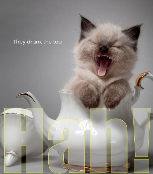They drank the tea Hah! | made w/ Imgflip meme maker