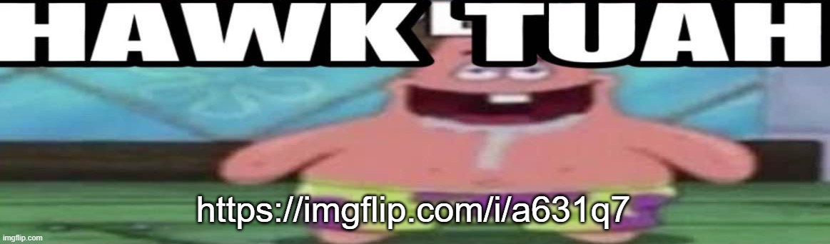 i made it | https://imgflip.com/i/a631q7 | image tagged in hawk tuah patrick v2 | made w/ Imgflip meme maker