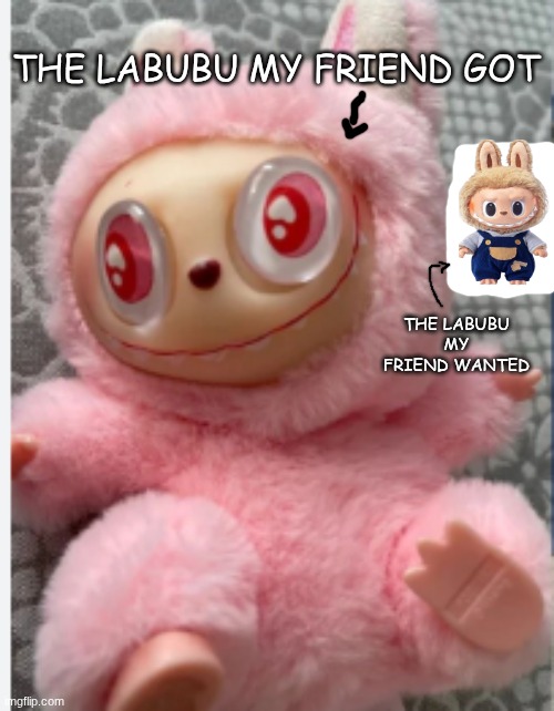 :( | THE LABUBU MY FRIEND GOT; THE LABUBU MY FRIEND WANTED | image tagged in stupid lafufuuu | made w/ Imgflip meme maker