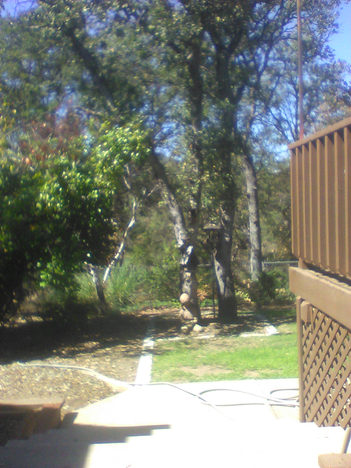 ZALAJA 777 - my backyard Blank Meme Template