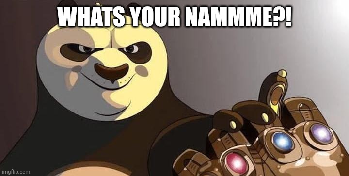 po | WHATS YOUR NAMMME?! | image tagged in po | made w/ Imgflip meme maker