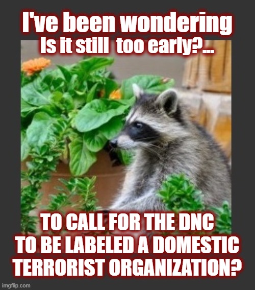 We've been waiting a while now... | Is it still  too early?... TO CALL FOR THE DNC TO BE LABELED A DOMESTIC TERRORIST ORGANIZATION? I've been wondering | image tagged in maga,restore the republic,politics,american politics,justice,law and order | made w/ Imgflip meme maker