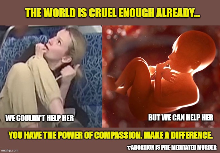 Cry for the innocent. | THE WORLD IS CRUEL ENOUGH ALREADY... WE COULDN'T HELP HER; BUT WE CAN HELP HER; YOU HAVE THE POWER OF COMPASSION. MAKE A DIFFERENCE. #ABORTION IS PRE-MEDITATED MURDER | image tagged in abortion is murder,cruel,iryna,innocence,compassion | made w/ Imgflip meme maker