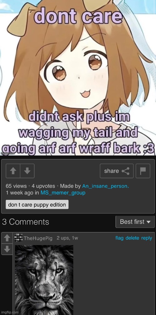 made w/ Imgflip meme maker