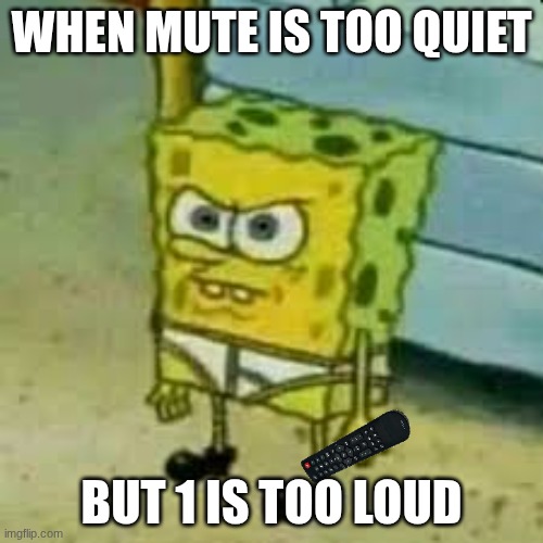 Spongebob In Underwear | WHEN MUTE IS TOO QUIET; BUT 1 IS TOO LOUD | image tagged in spongebob in underwear | made w/ Imgflip meme maker