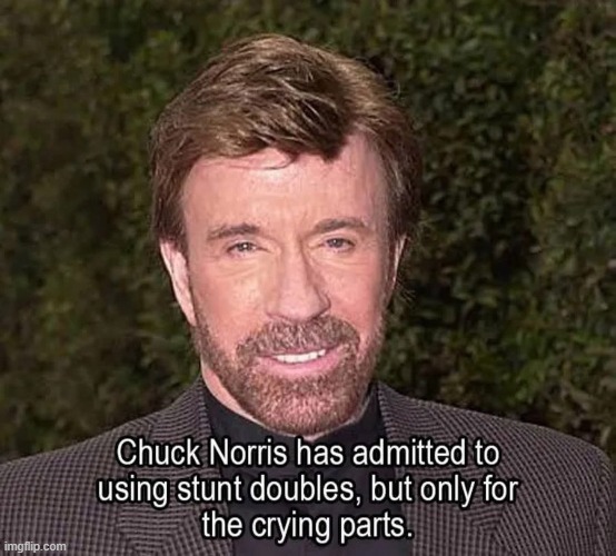 Chuckle from Chuck | image tagged in chuck norris,chuck norris approves,funny meme,lol | made w/ Imgflip meme maker