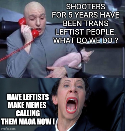 Leftist Deflection | SHOOTERS FOR 5 YEARS HAVE BEEN TRANS LEFTIST PEOPLE.
WHAT DO WE DO ? HAVE LEFTISTS MAKE MEMES 
CALLING THEM MAGA NOW ! | image tagged in dr evil and frau,evil,leftists,democrats | made w/ Imgflip meme maker