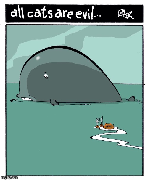 That’s a mighty big fish… | image tagged in cats,comics/cartoons,whale,evil cats | made w/ Imgflip meme maker