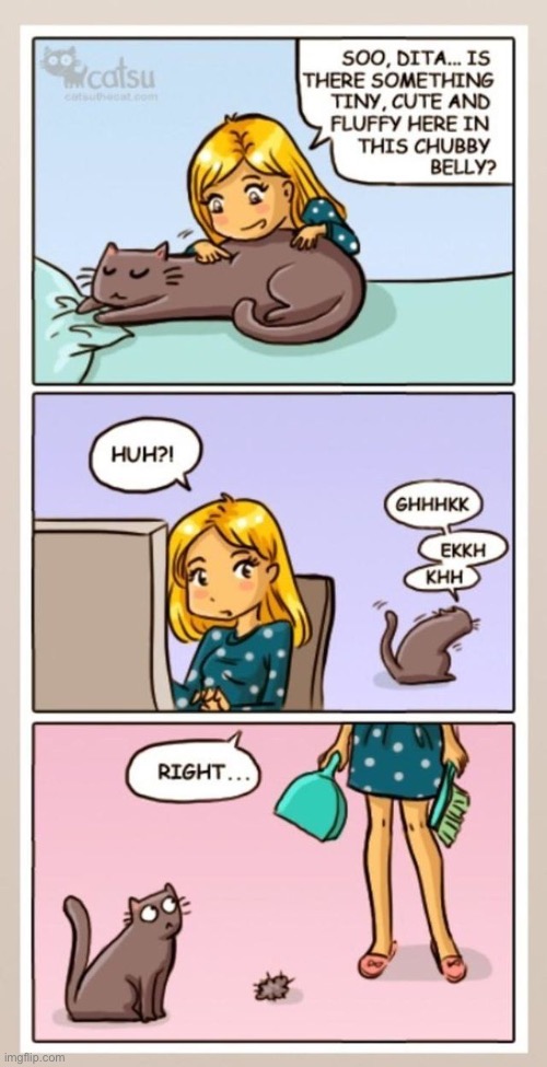 Catsu | image tagged in cats,comics,catsu,dita,hairball | made w/ Imgflip meme maker