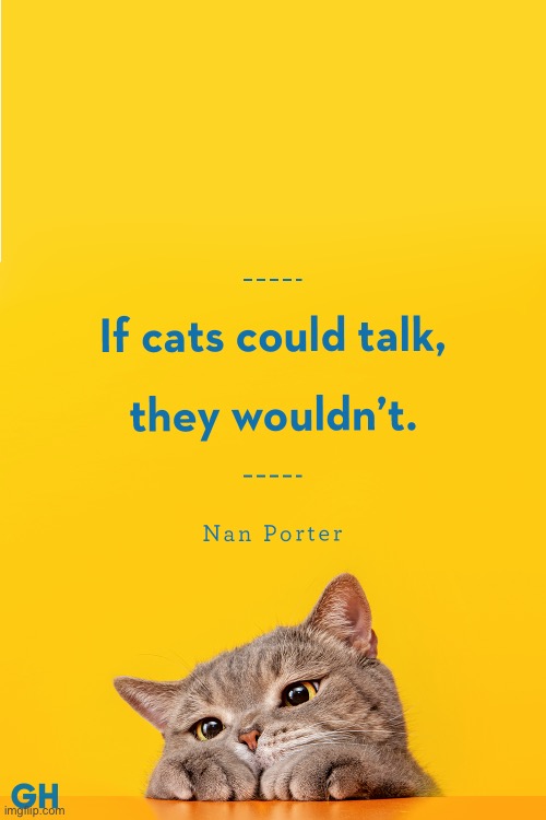 At least not when you wanted them to… | image tagged in cats,if cats could talk,they wouldnt | made w/ Imgflip meme maker