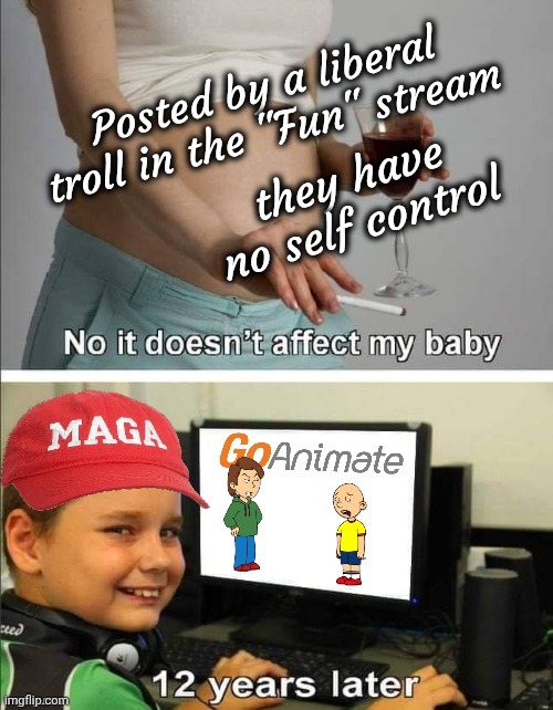 The Deplorables that they say we are | Posted by a liberal troll in the "Fun" stream; they have no self control | image tagged in liberals,trolls,spoiled brats,tds,but wait there's more | made w/ Imgflip meme maker