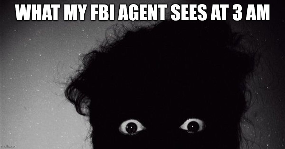 What My FBI Agent Sees At 3 AM | WHAT MY FBI AGENT SEES AT 3 AM | image tagged in fbi agent,meme,3 am,creepy image | made w/ Imgflip meme maker