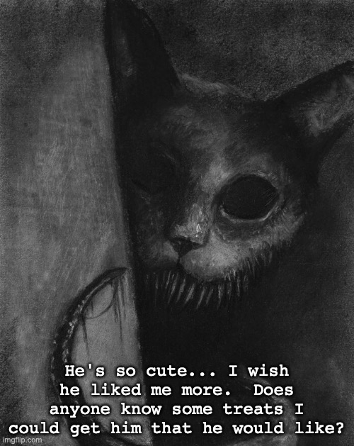 He's so cute... I wish he liked me more.  Does anyone know some treats I could get him that he would like? | made w/ Imgflip meme maker