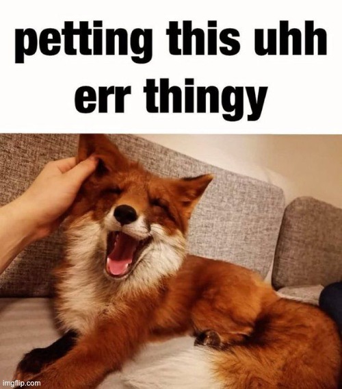 @foxed | made w/ Imgflip meme maker