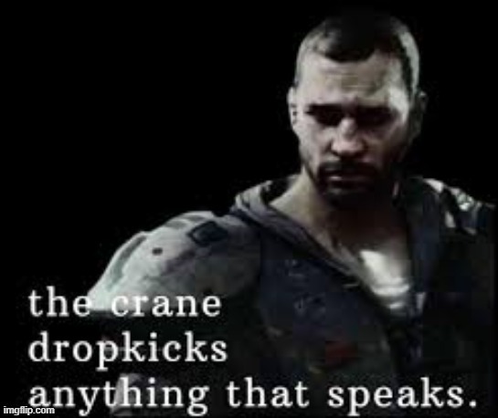 the crane dropkicks anything that speaks | image tagged in the crane dropkicks anything that speaks | made w/ Imgflip meme maker