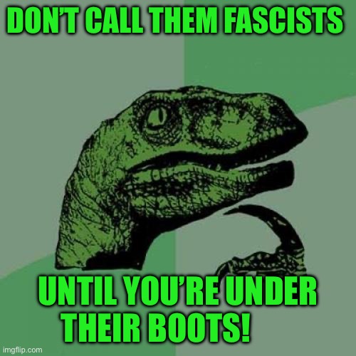 Philosoraptor | DON’T CALL THEM FASCISTS; UNTIL YOU’RE UNDER THEIR BOOTS! | image tagged in memes,philosoraptor | made w/ Imgflip meme maker