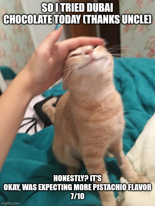It was also 20 bucks like wtf bro | SO I TRIED DUBAI CHOCOLATE TODAY (THANKS UNCLE); HONESTLY? IT'S OKAY, WAS EXPECTING MORE PISTACHIO FLAVOR
7/10 | image tagged in cat pat | made w/ Imgflip meme maker