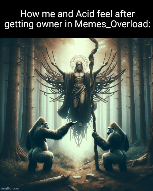 we alone are the chosen | How me and Acid feel after getting owner in Memes_Overload: | image tagged in god giving a stick to two gorillas,memes overload,funny,imgflip users,shinobii,acid_freak | made w/ Imgflip meme maker