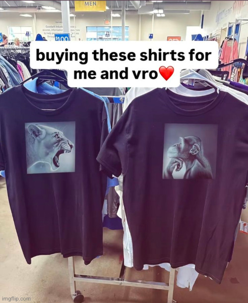 I'm the monkey of course | image tagged in shirts,ragebait,lion and monkey,screaming,funny,me and bro | made w/ Imgflip meme maker