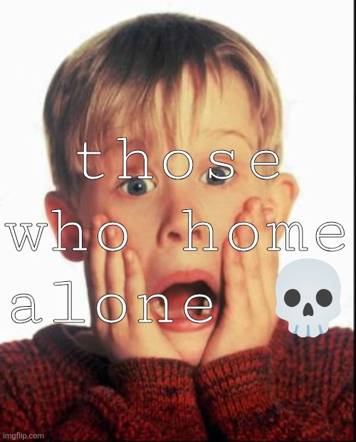 main goal | those who home alone 💀 | image tagged in home alone kid | made w/ Imgflip meme maker