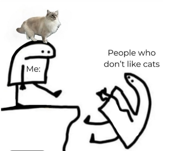 Off A Cliff | image tagged in cats,funny cats,kill,cat haters,funny,fun | made w/ Imgflip meme maker