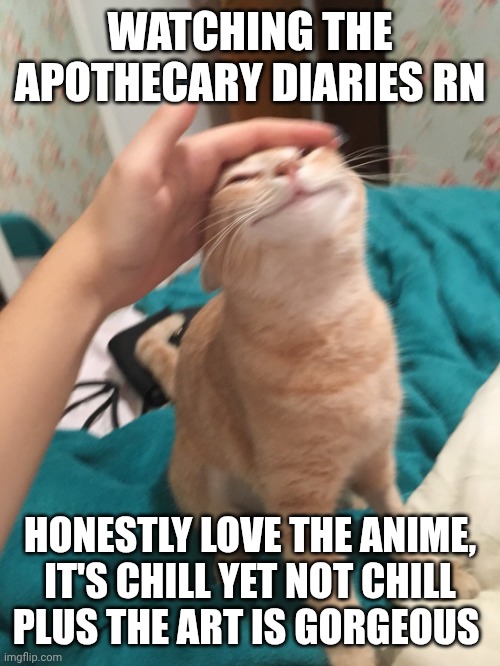 Bro I fucking love this anime | WATCHING THE APOTHECARY DIARIES RN; HONESTLY LOVE THE ANIME, IT'S CHILL YET NOT CHILL
PLUS THE ART IS GORGEOUS | image tagged in cat pat | made w/ Imgflip meme maker