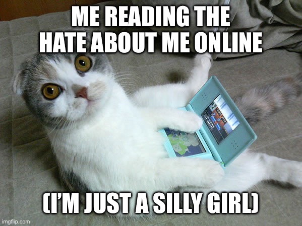 Cats W/ Computers | ME READING THE HATE ABOUT ME ONLINE; (I’M JUST A SILLY GIRL) | image tagged in cats w/ computers | made w/ Imgflip meme maker