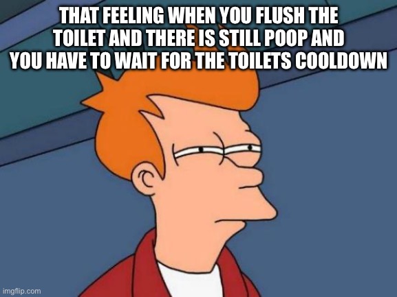 Fr | THAT FEELING WHEN YOU FLUSH THE TOILET AND THERE IS STILL POOP AND YOU HAVE TO WAIT FOR THE TOILETS COOLDOWN | image tagged in memes,futurama fry | made w/ Imgflip meme maker